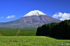 羊と富士山