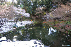 徳川園