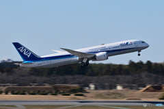 All Nippon Airways