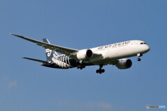Air New Zealand
