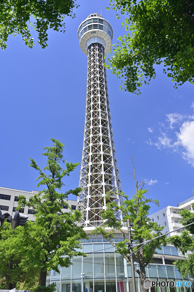 横浜マリンタワー