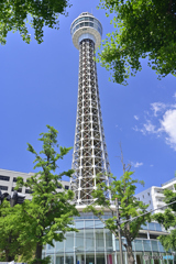 横浜マリンタワー