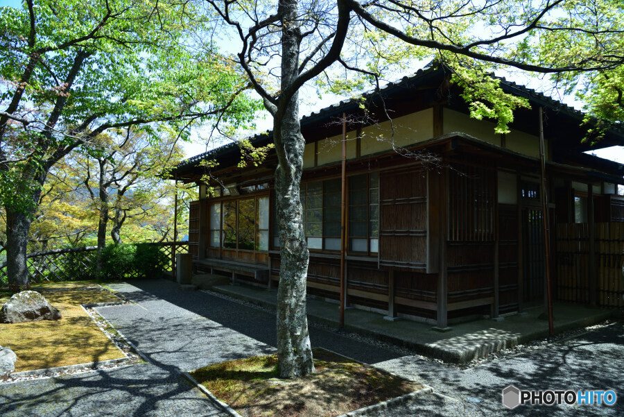 苔庭奥の佇まい