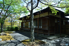 苔庭奥の佇まい
