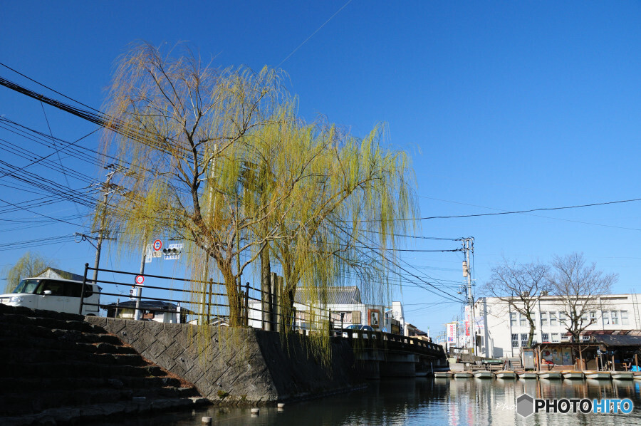 柳川 川下り