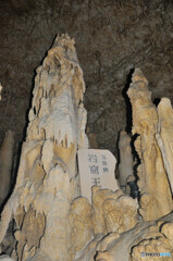 玉泉洞の石筍-2