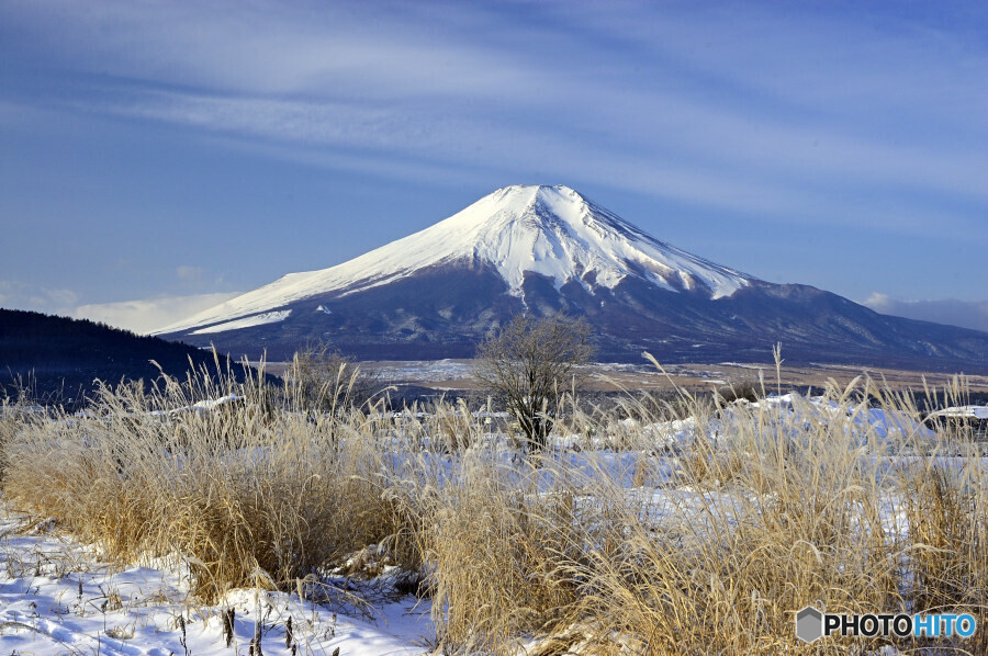 山梨県忍野村内野