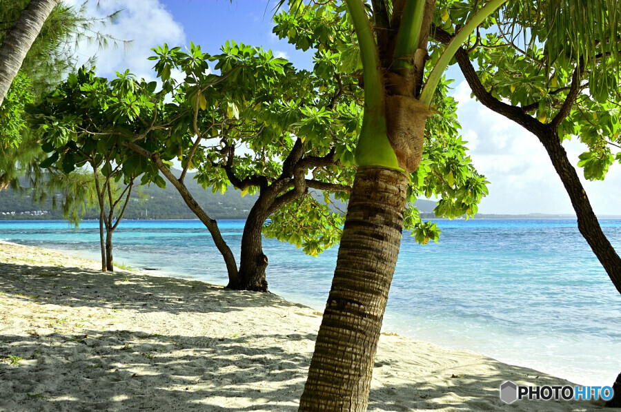 マニャガハ島にて