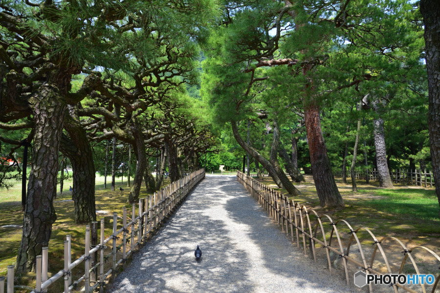 栗林公園にて