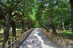 栗林公園にて