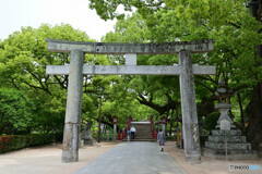 太宰府天満宮 四の鳥居