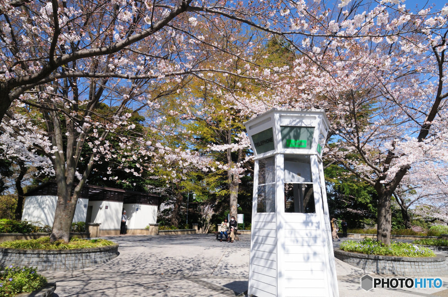元町公園