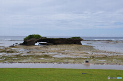 イエロービーチ 渡具知海岸