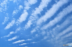 秋の雲