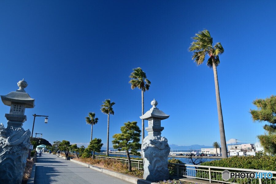 江の島大橋にて