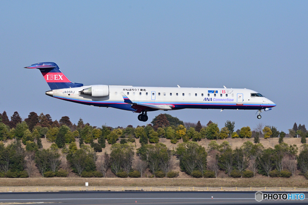 Ibex Airlines