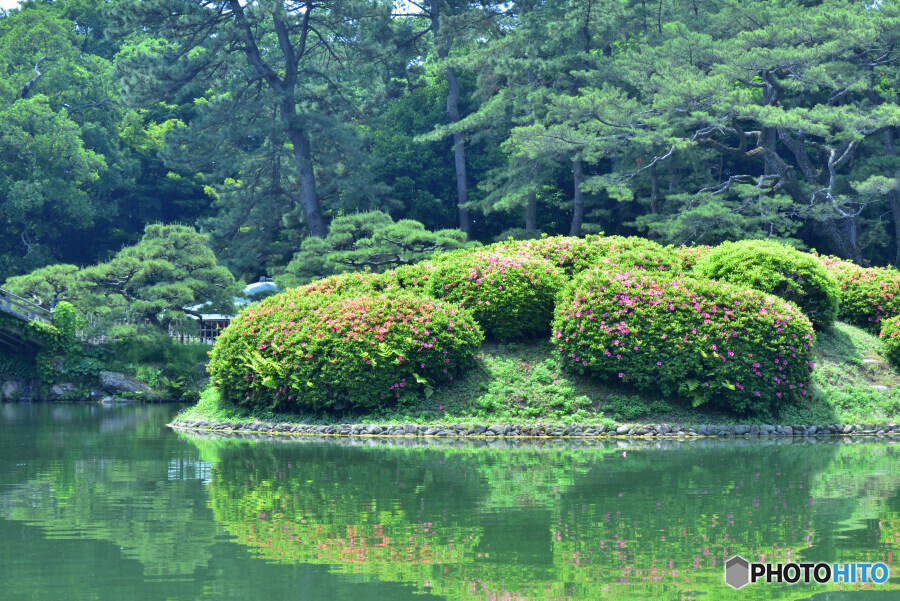 栗林公園にて