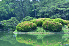 栗林公園にて