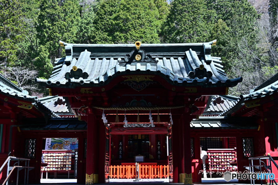 箱根神社