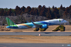 Bamboo Airways