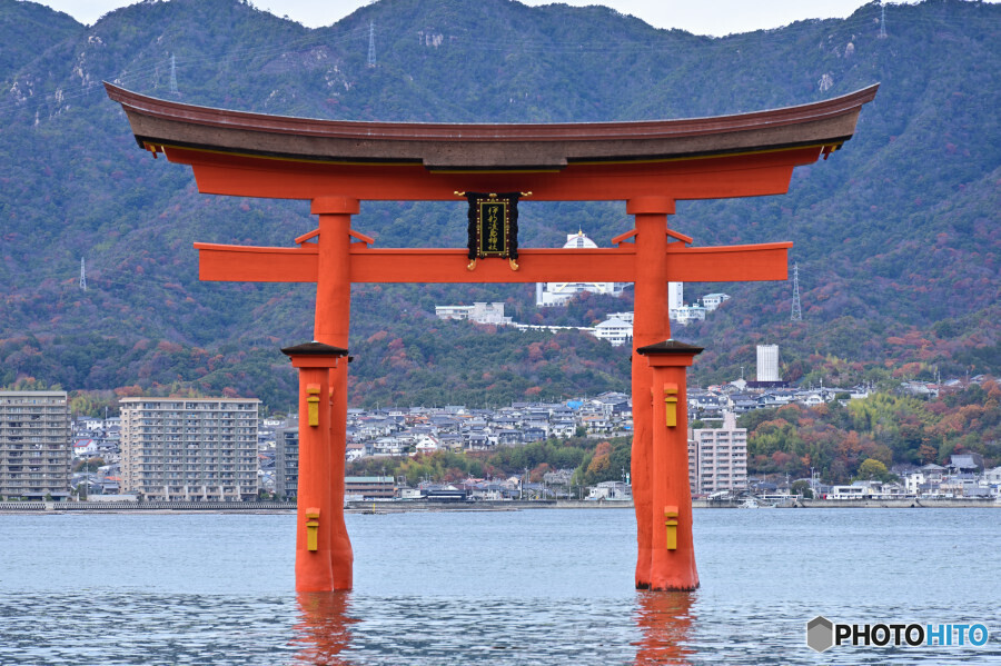 厳島神社 大鳥居
