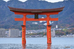 厳島神社 大鳥居