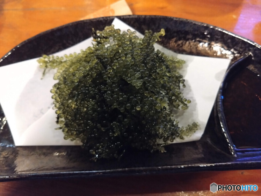 海ぶどう