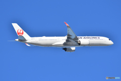 Japan Airlines