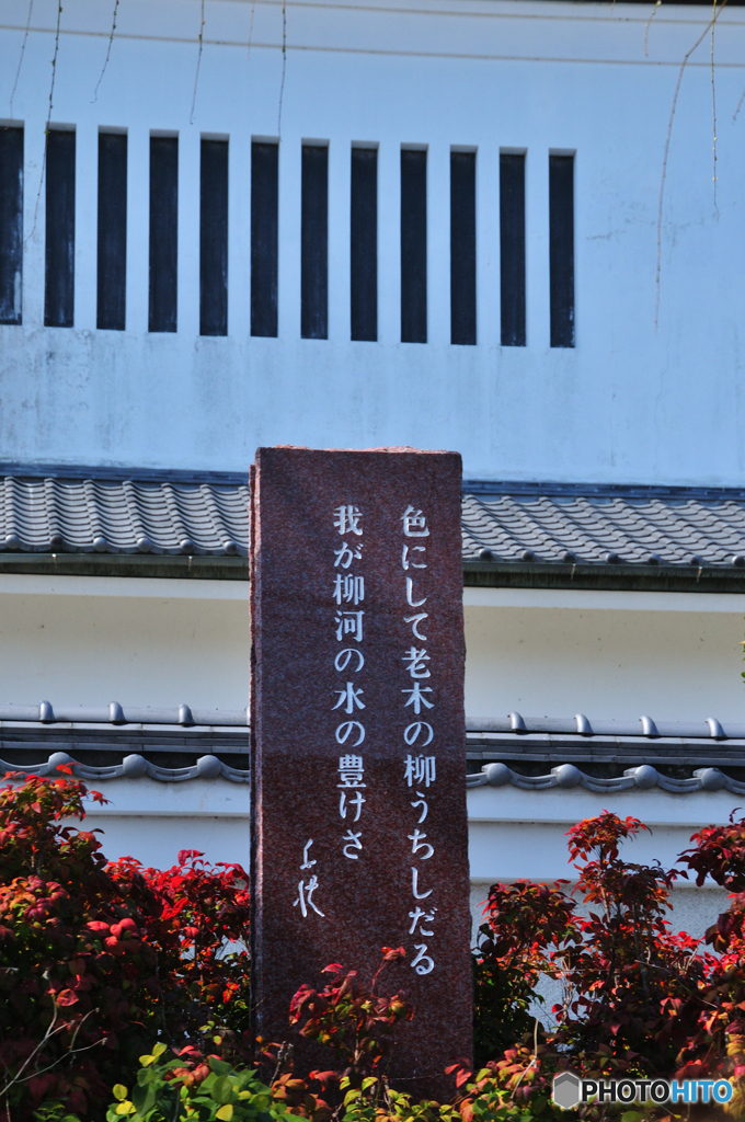 柳川川下り