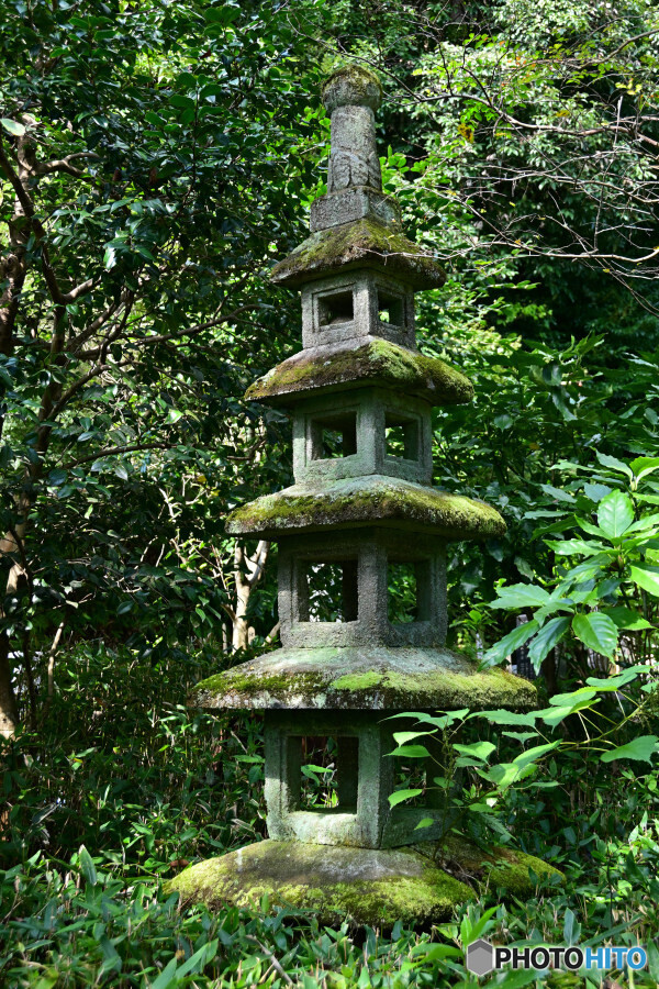 苔むす石塔