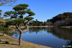 秋の三渓園にて