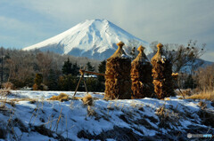 忍野村にて