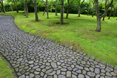 苔庭