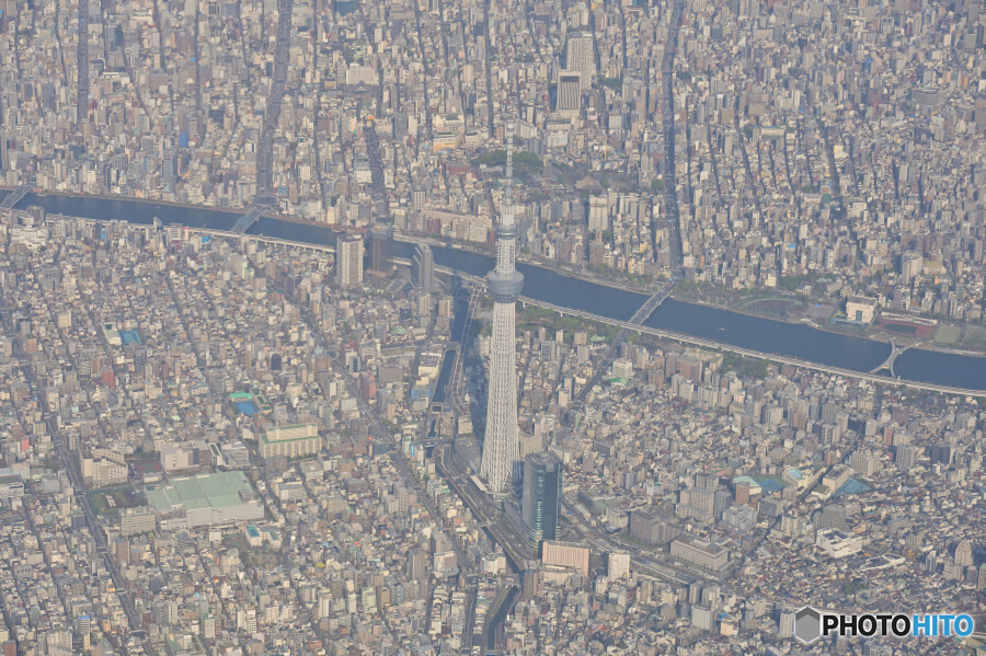 空撮東京スカイツリー