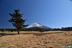 上九一色村にて