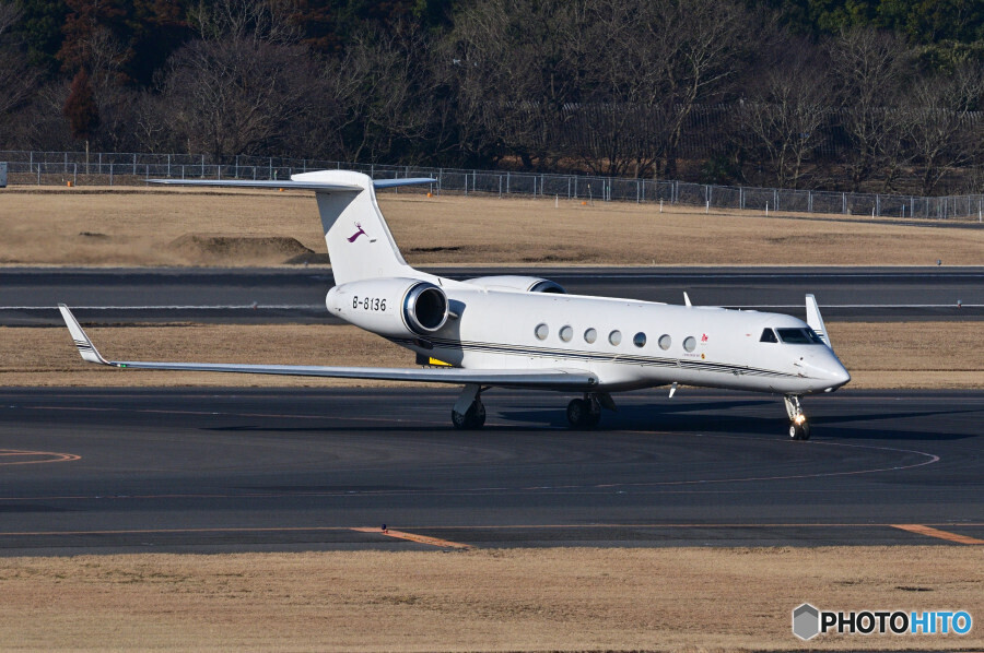 Deer Jet