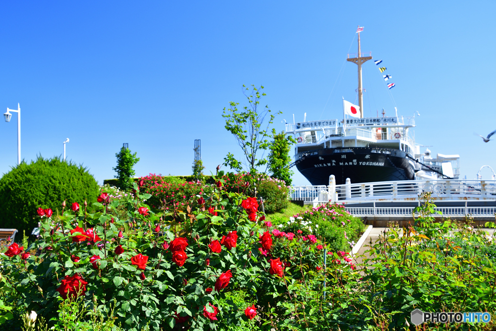 山下公園にて