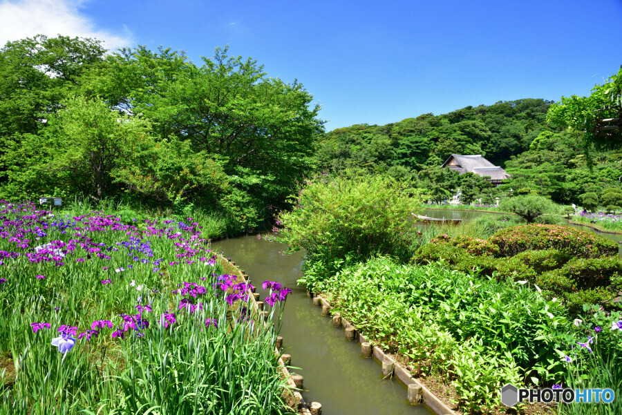 春の三渓園