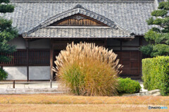 岡山後楽園にて