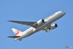 Japan Airlines