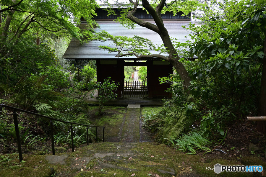 妙法寺にて1