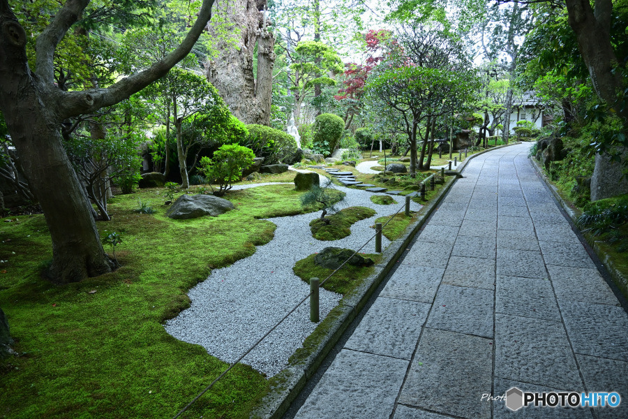 鎌倉 報国寺