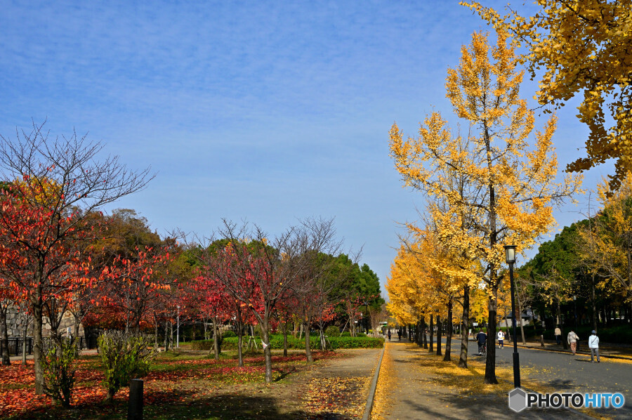 大阪城公園