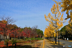 大阪城公園