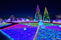 いつかの夜のよみうりランドにて-2