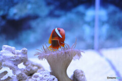 マリンワールド海の中道にて