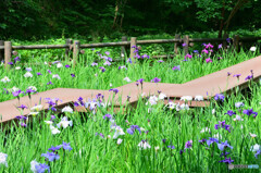 四季の森公園にて