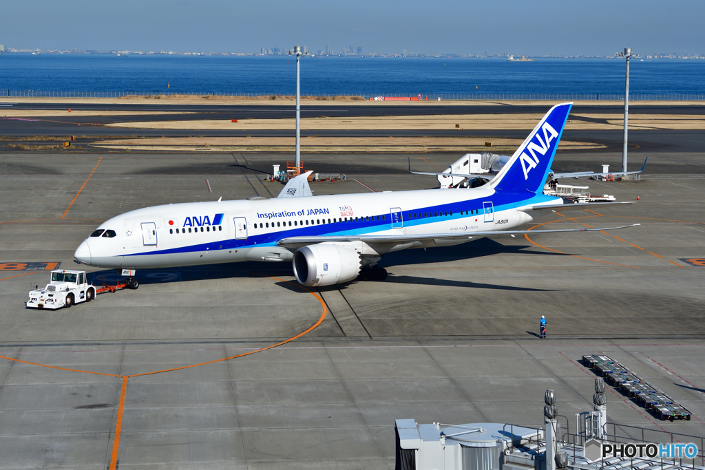 全日本空輸（ANA）