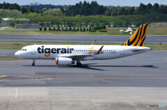 Tigerair Taiwan