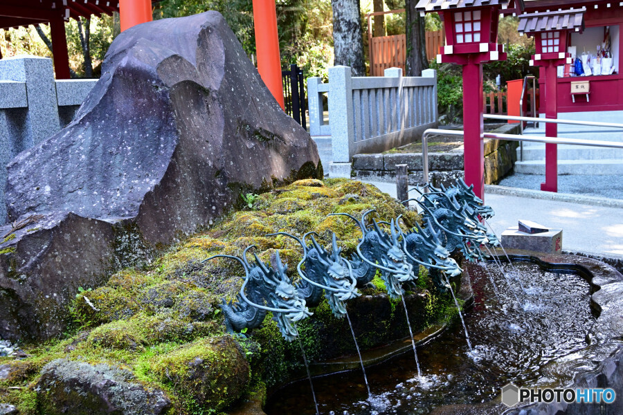 箱根神社の龍神水